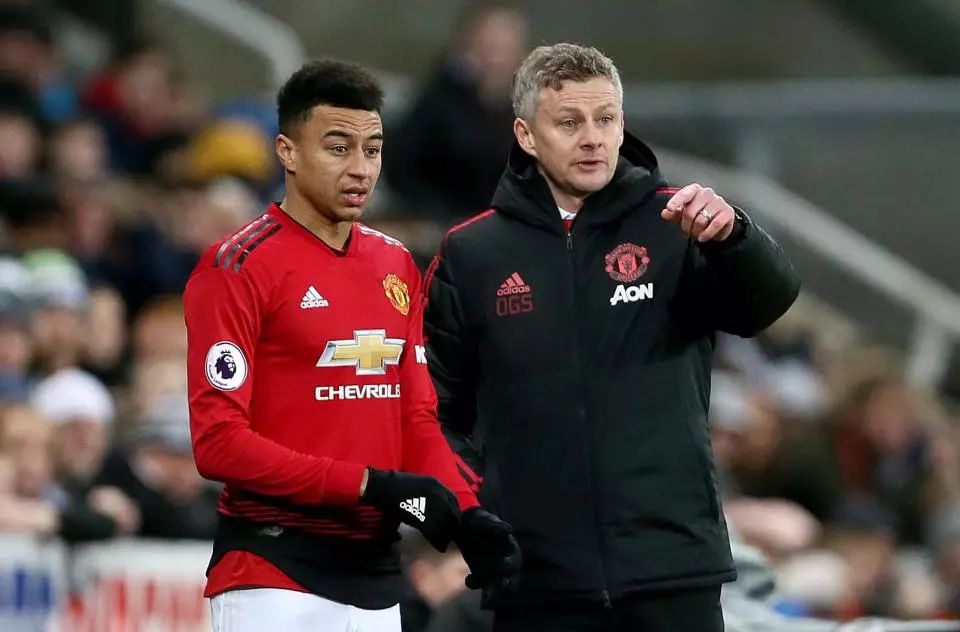 造一个适合 造一个适合